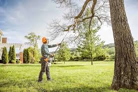 Best Tree Health Inspection  in Aetna Estates, CO